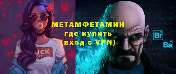 прущие грибы Наволоки