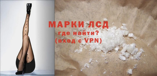 прущие грибы Наволоки