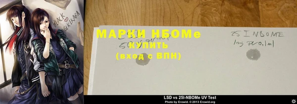 прущие грибы Наволоки