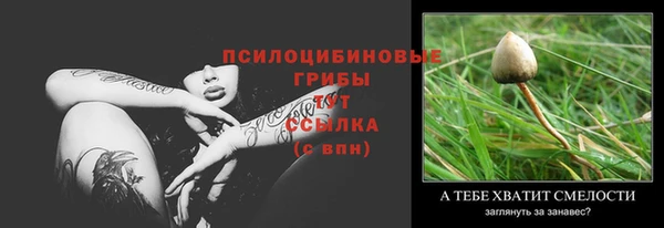 хмурый Нефтекумск
