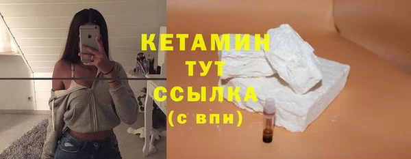 прущие грибы Наволоки