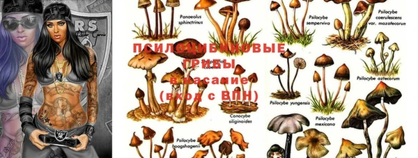 jwh Нефтегорск