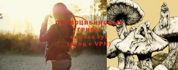 прущие грибы Наволоки